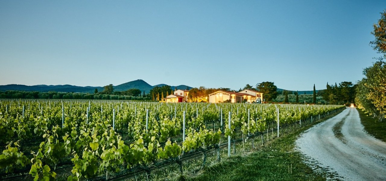 Winery Campo alla Sughera - wine tours tuscany - Wine Paths